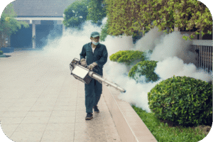 Mengapa Fogging Saja Tidak Cukup untuk Membasmi Nyamuk DBD?