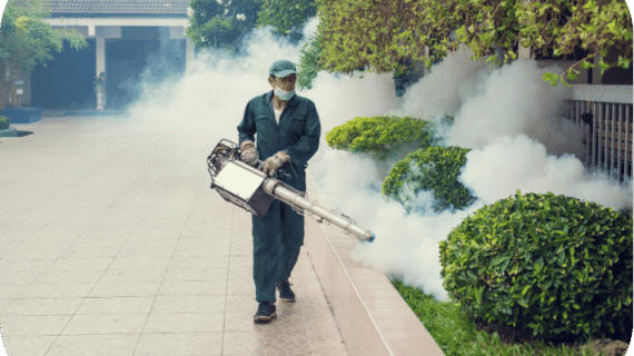 Mengapa Fogging Saja Tidak Cukup untuk Membasmi Nyamuk DBD?